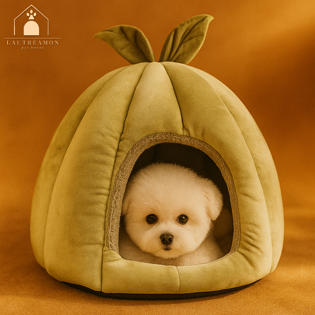 Maison pour chat - Lautréamon LeafHouse