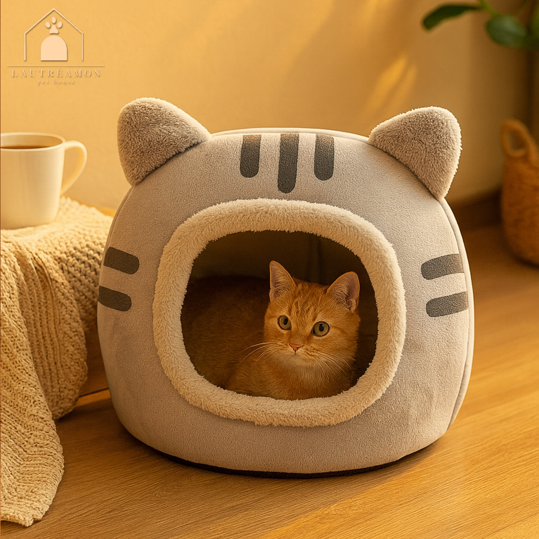 Maison pour chat - Lautréamon KittyHouse